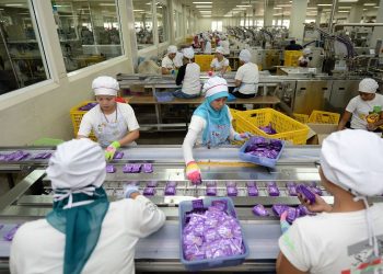 Sido Muncul Gandeng IDI dan RS UKRIDA, Dorong Obat Herbal Masuk Arus Utama Kedokteran