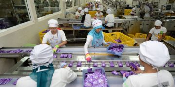 Sido Muncul Gandeng IDI dan RS UKRIDA, Dorong Obat Herbal Masuk Arus Utama Kedokteran