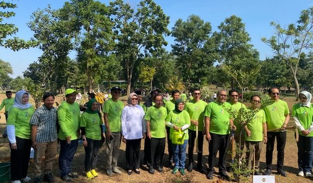 Menanam Harapan di Taman Cempaka, ketika Politik Memilih Berteduh di Bawah Pohon