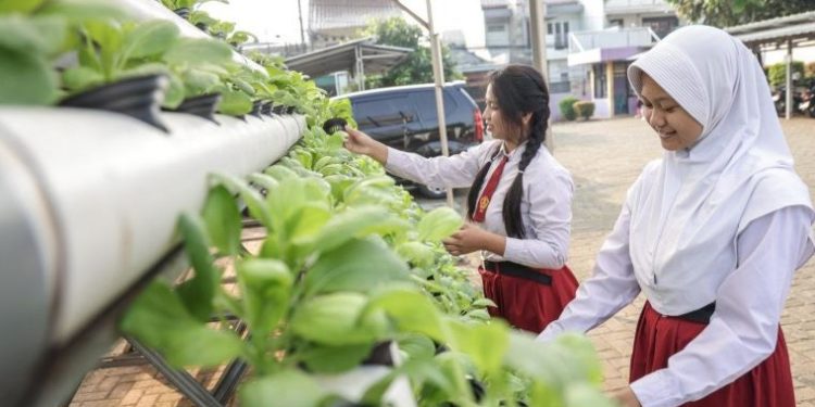 Urban Farming di sekolah di jakarta
