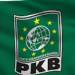 Survei PPI: Elektabilitas PKB Sudah Masuk Empat Besar