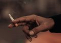 Harga Rokok Naik, Cukai Mengalir, Petani Tembakau Madura Tetap di Ujung Rantai
