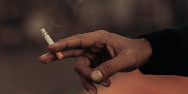 Harga Rokok Naik, Cukai Mengalir, Petani Tembakau Madura Tetap di Ujung Rantai