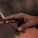 Harga Rokok Naik, Cukai Mengalir, Petani Tembakau Madura Tetap di Ujung Rantai